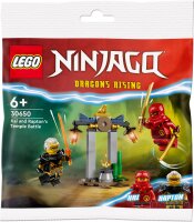 LEGO® NINJAGO® 30650 Kais und Raptons Duell im...