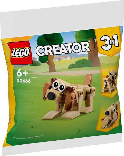 LEGO® 30666 Geschenkset mit Tieren - Polybag