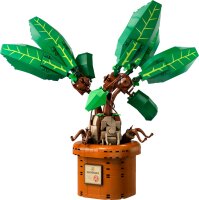 LEGO® Harry Potter™ Zaubertrankpflanze: Alraune (76433)